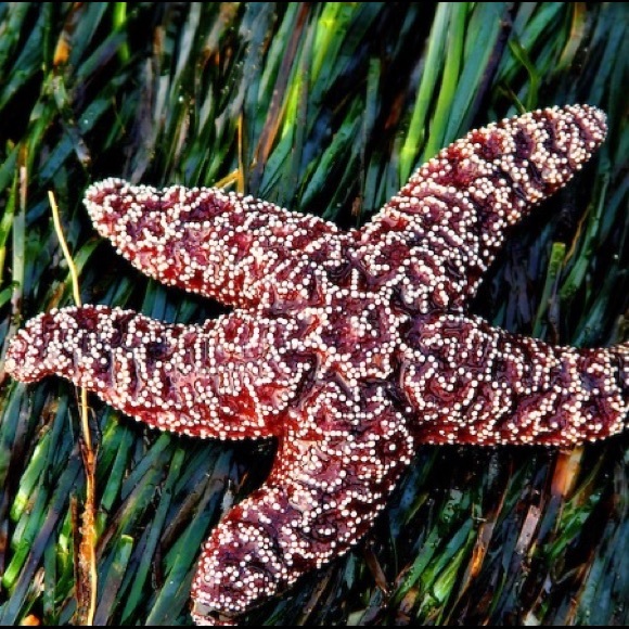 Meet Emilee: Eclectic Posher & Puppy Mom - Picture 5 of 8